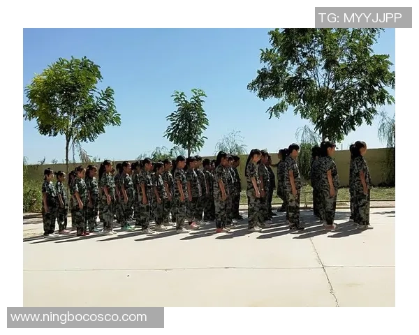 张强的王者荣耀人生深度对话探讨游戏背后的成长与挑战 张强的王者荣耀人生深度对话探讨游戏背后的成长与挑战